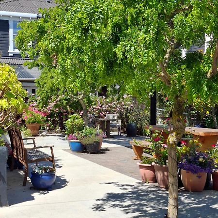 Boutique Hotel Kaikoura Ngoại thất bức ảnh